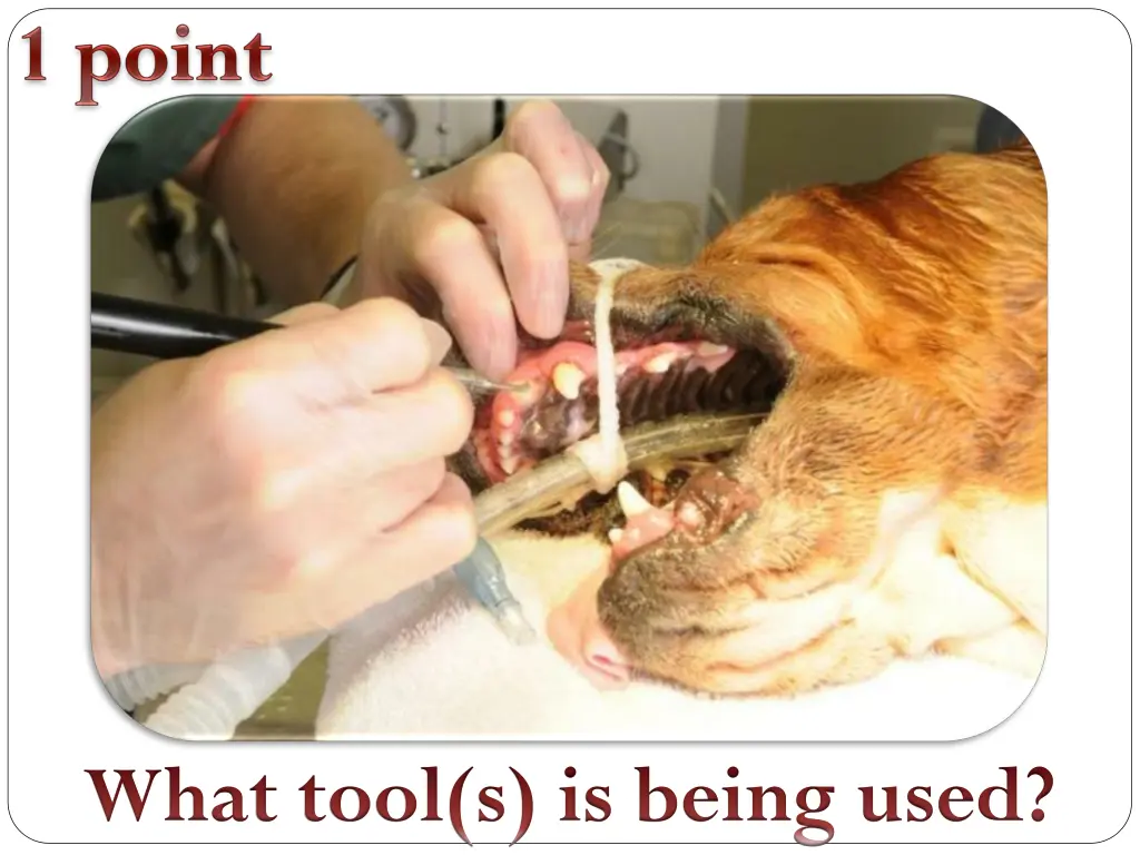 what tool s is being used