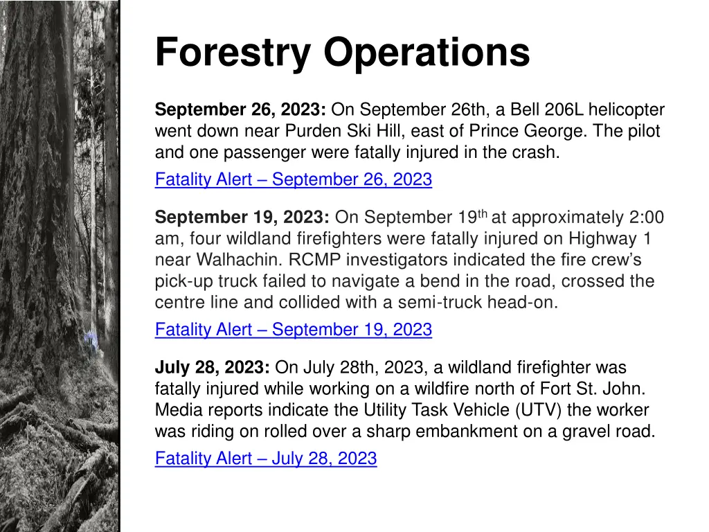 forestry operations 1