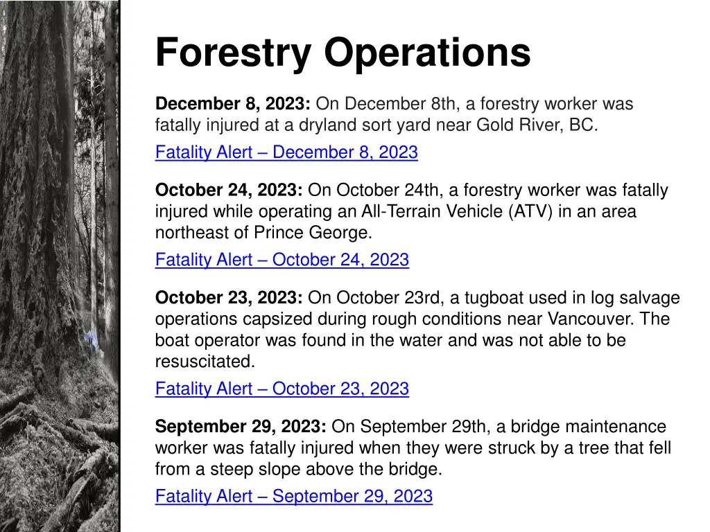 forestry operations