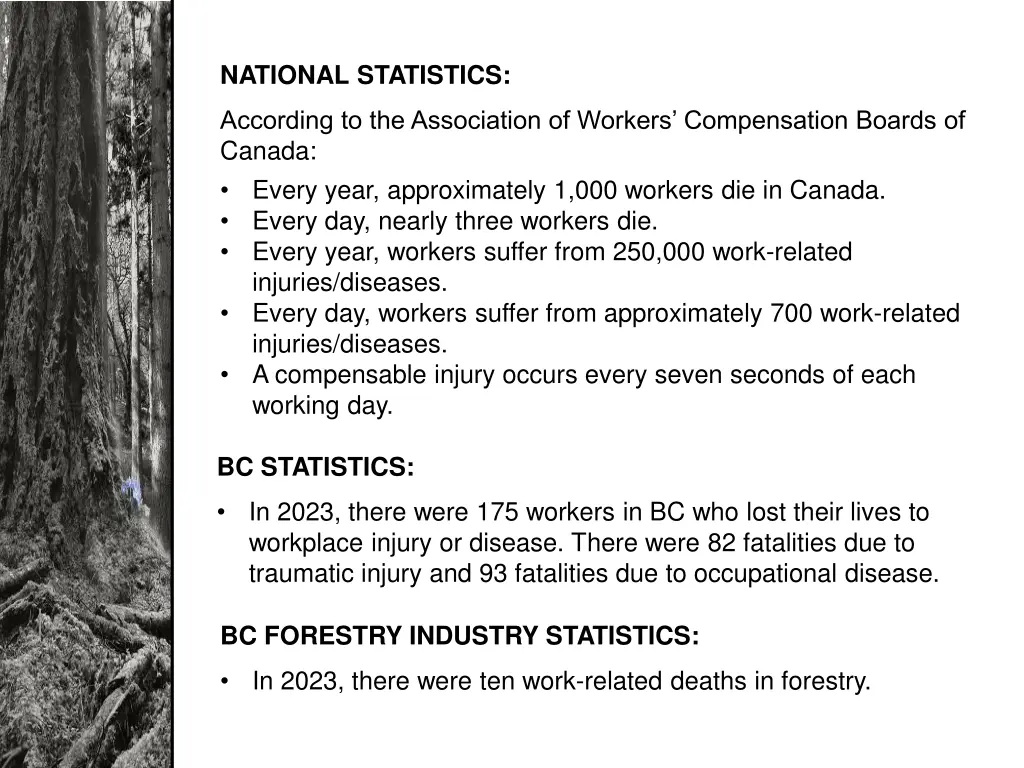 national statistics