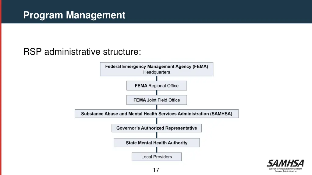 program management