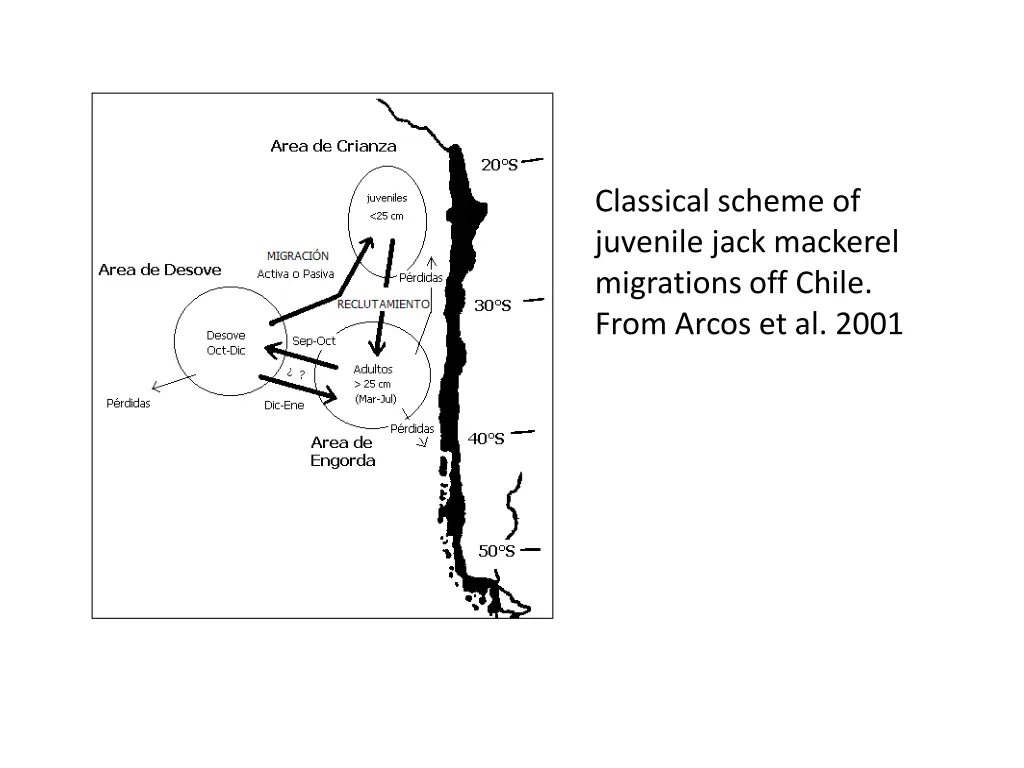classical scheme of juvenile jack mackerel