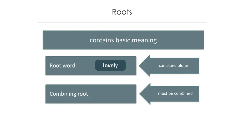 roots 2
