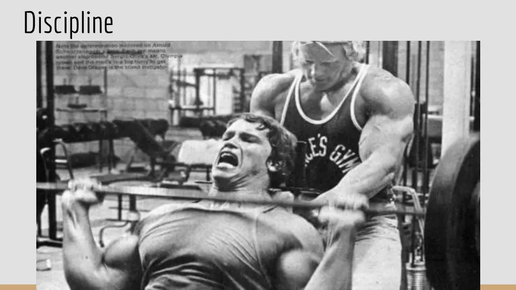 discipline