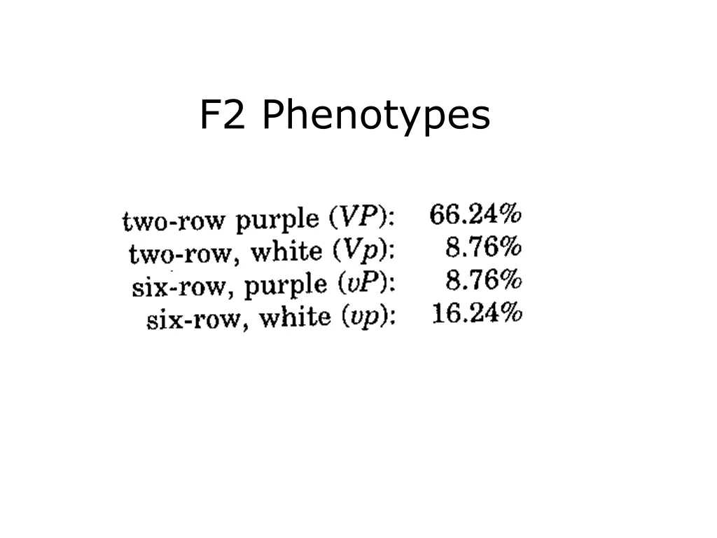f2 phenotypes