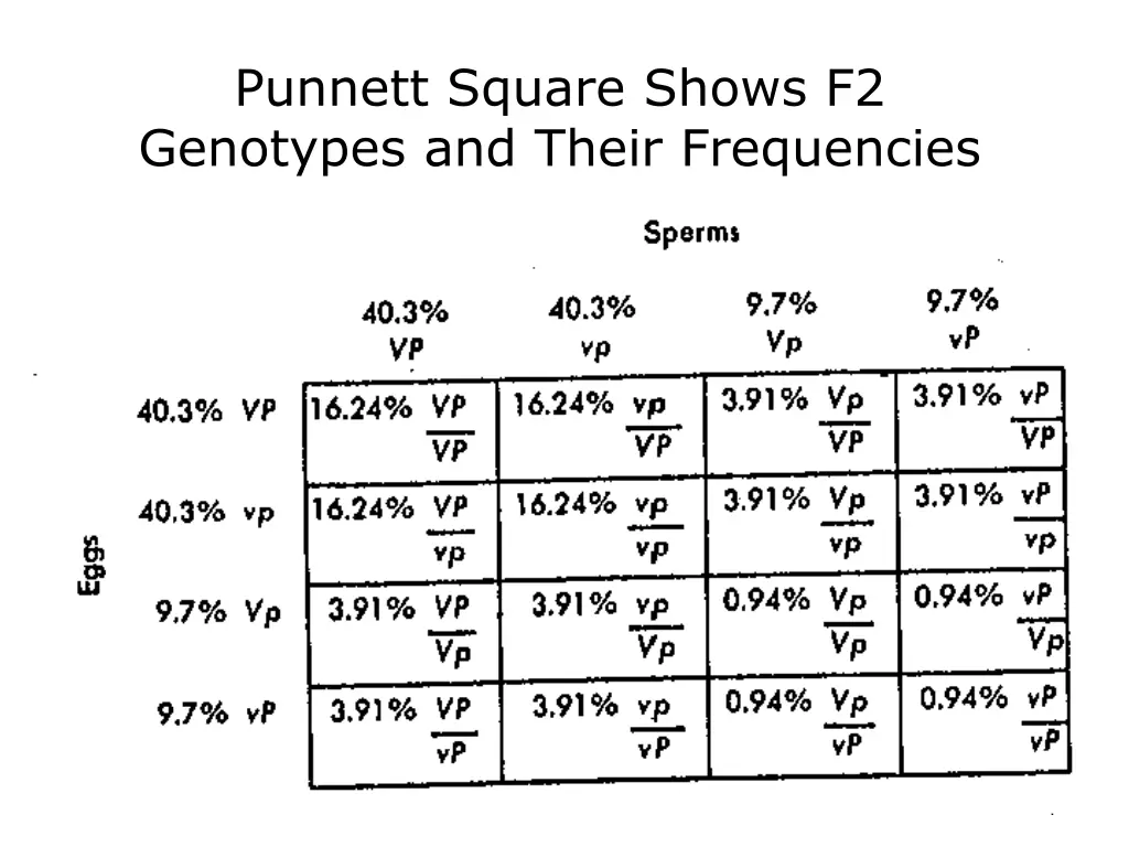 punnett square shows f2 genotypes and their