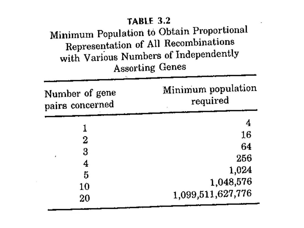 slide19