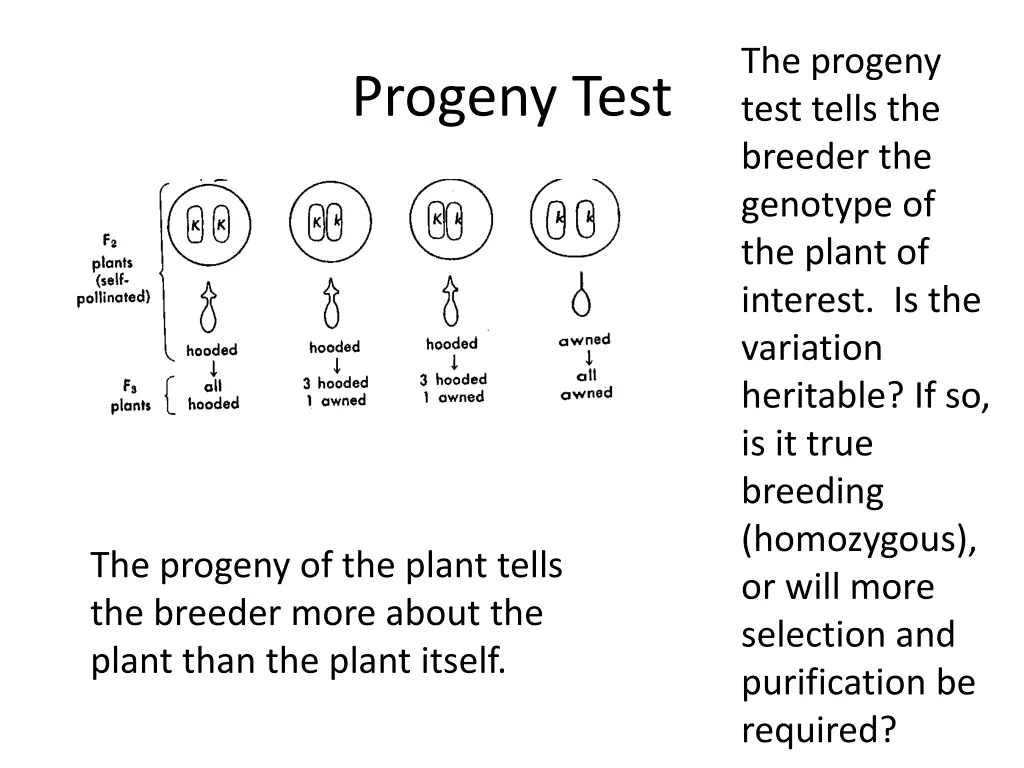 the progeny test tells the breeder the genotype