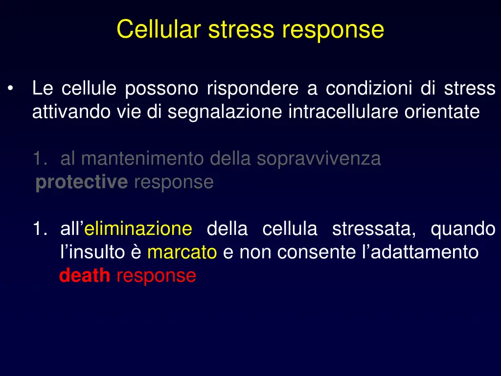 cellular stress response 1