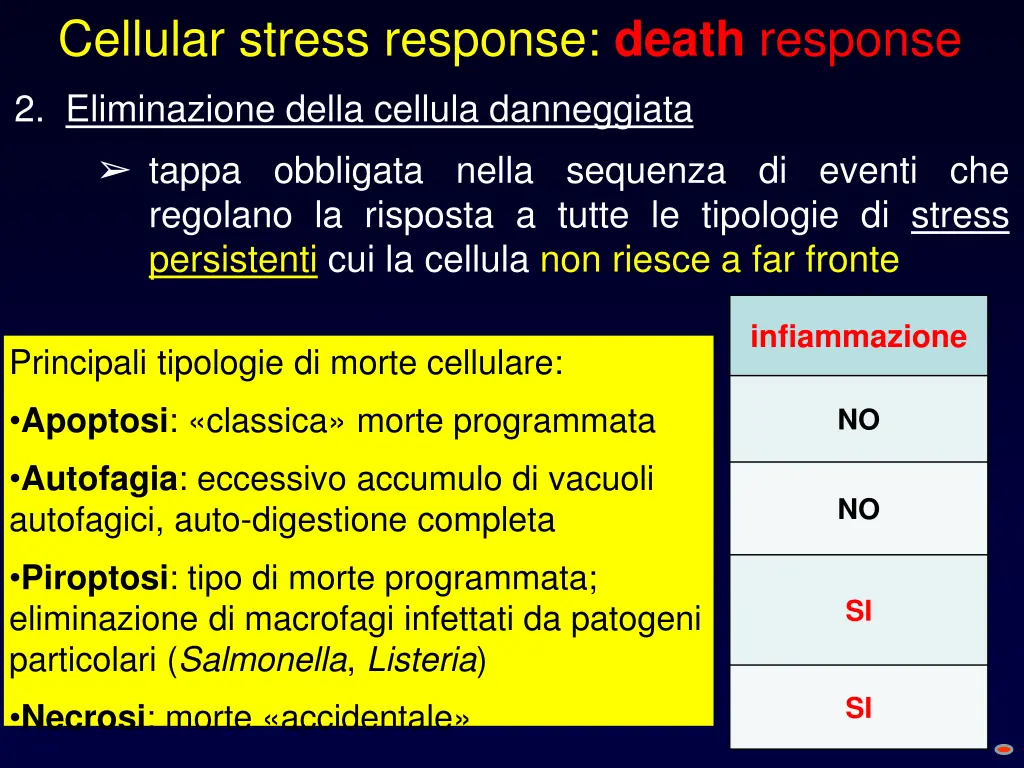 cellular stress response death response