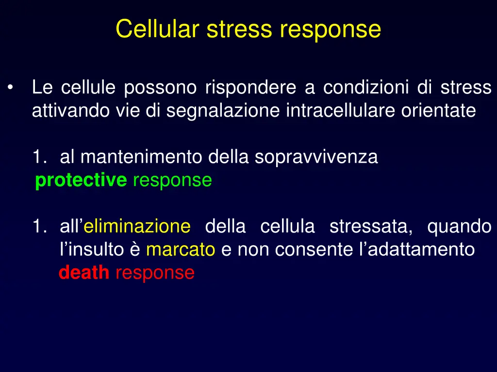 cellular stress response