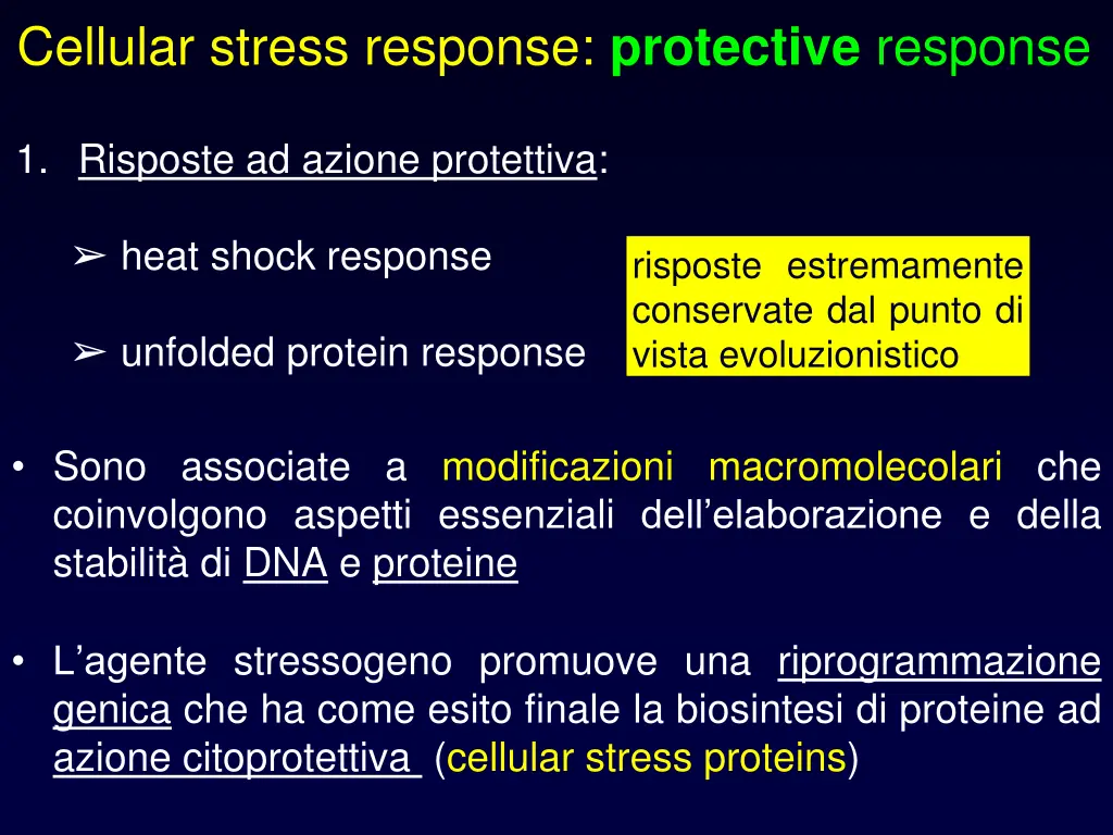 cellular stress response protective response