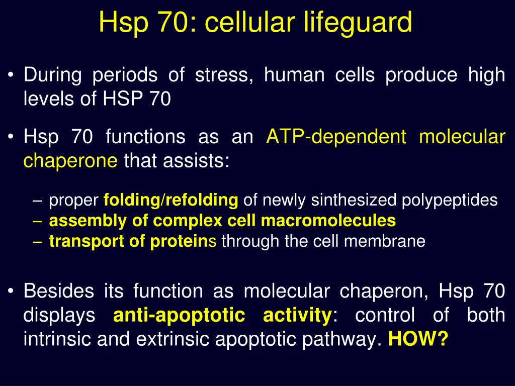 hsp 70 cellular lifeguard