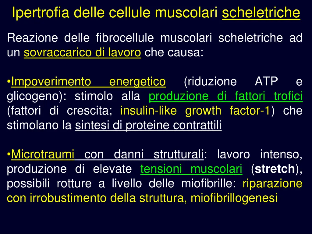 ipertrofia delle cellule muscolari scheletriche