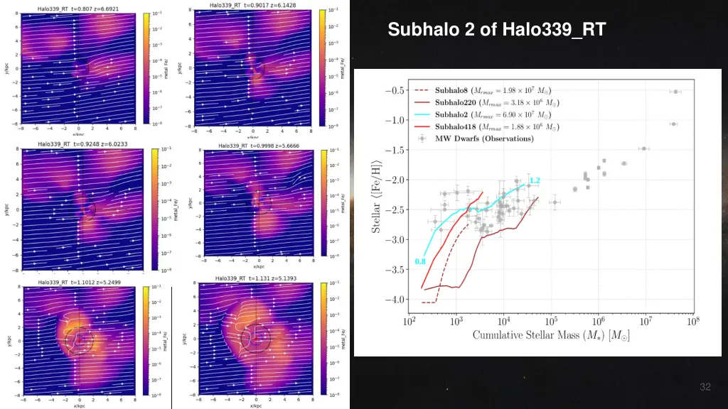 subhalo 2 of halo339 rt