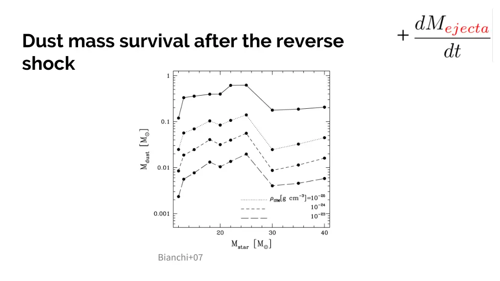 dust mass survival after the reverse shock