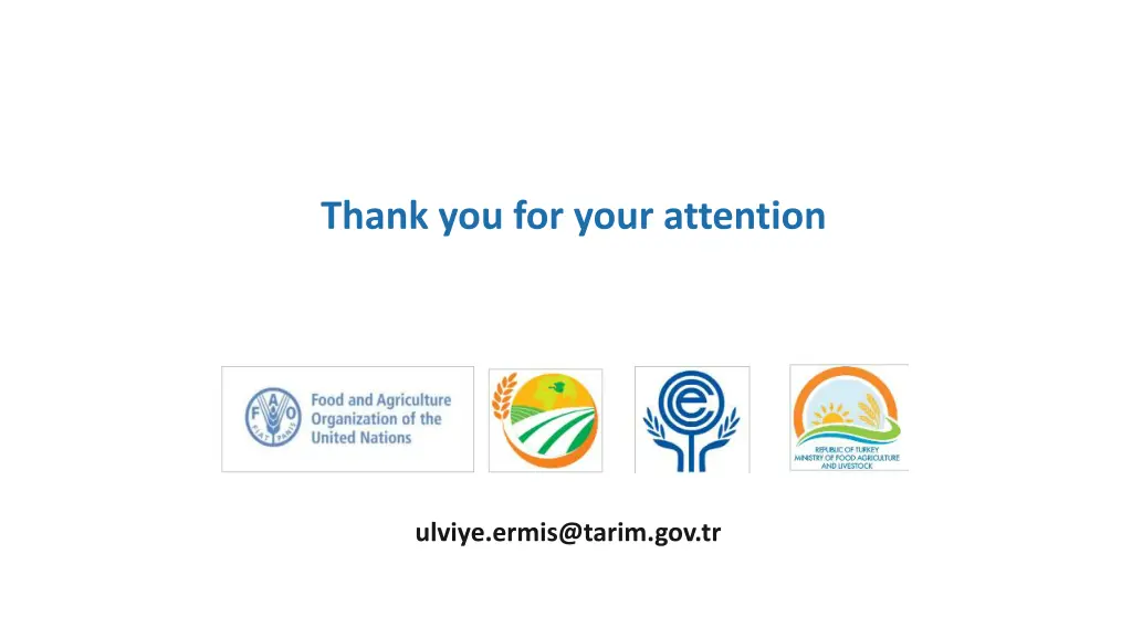 thank you for your attention