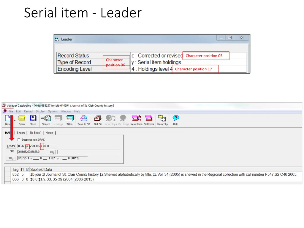 serial item leader