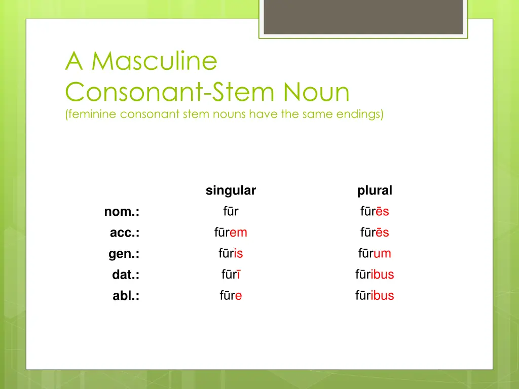 a masculine consonant stem noun feminine