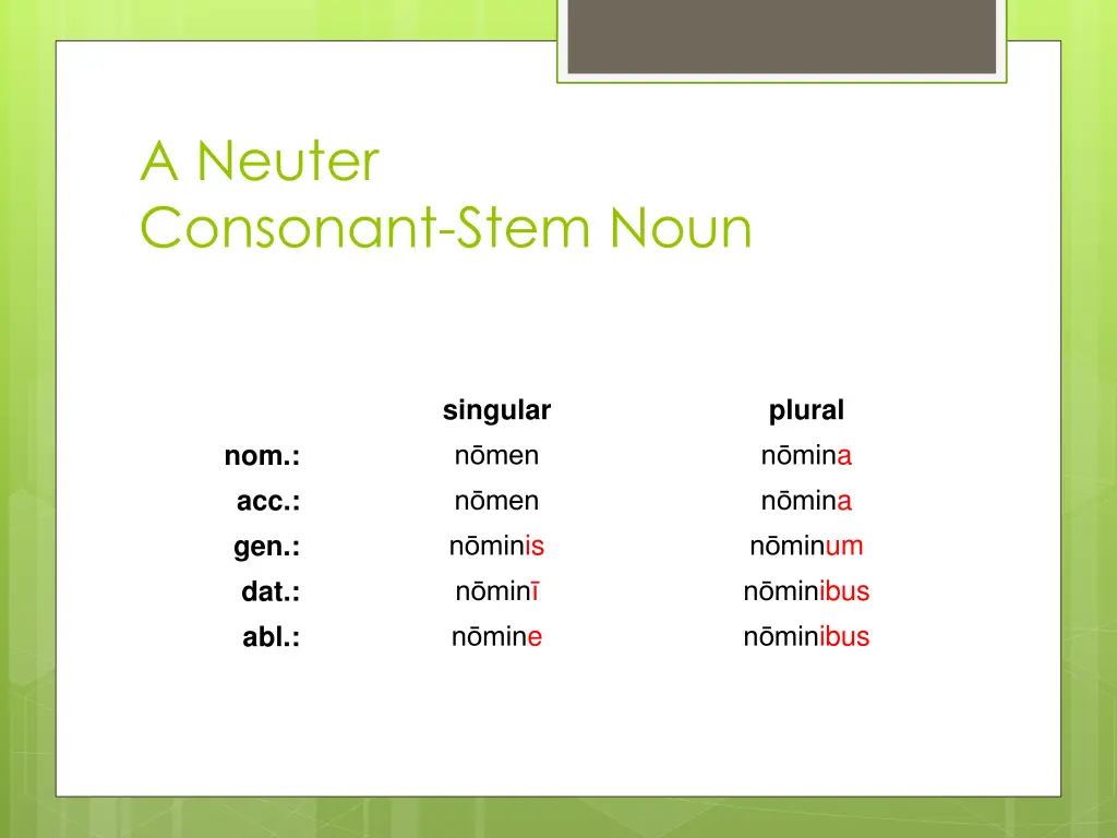 a neuter consonant stem noun