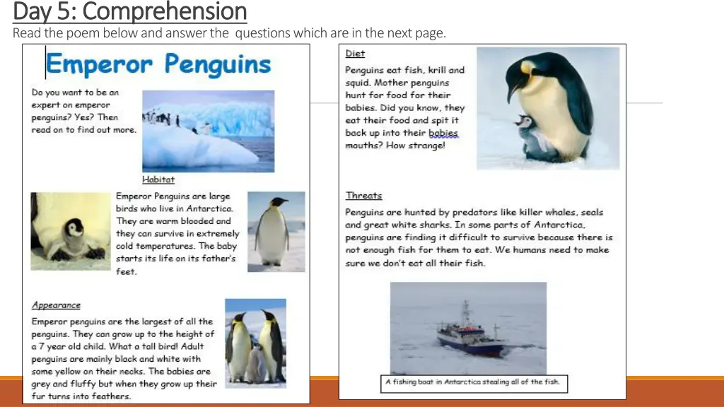 day day 5 5 comprehension comprehension read