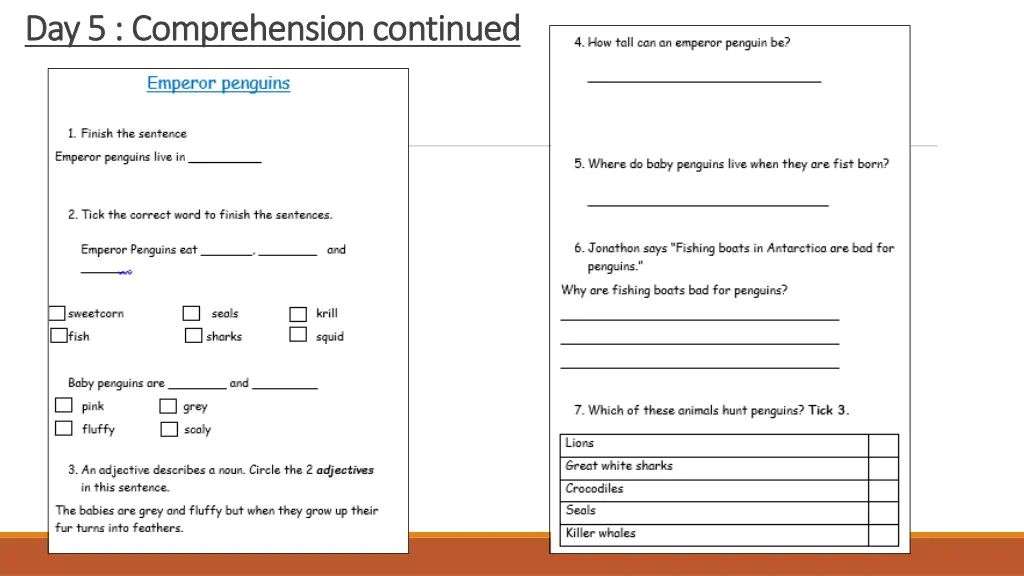 day day 5 5 comprehension continued comprehension