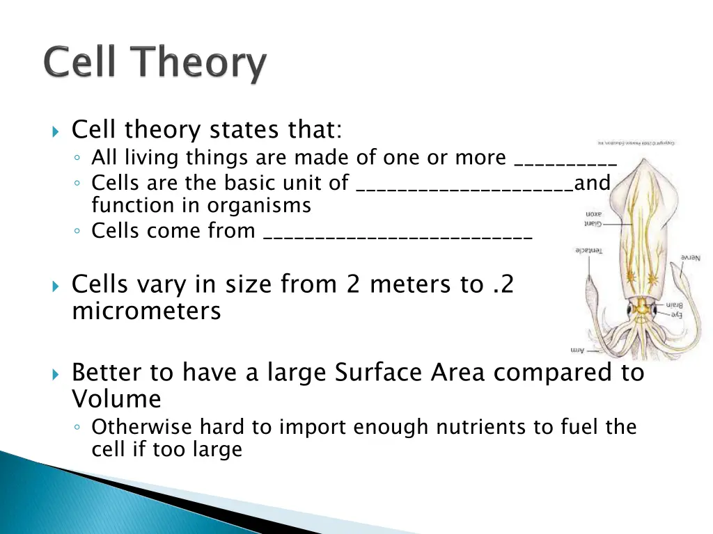 cell theory states that all living things