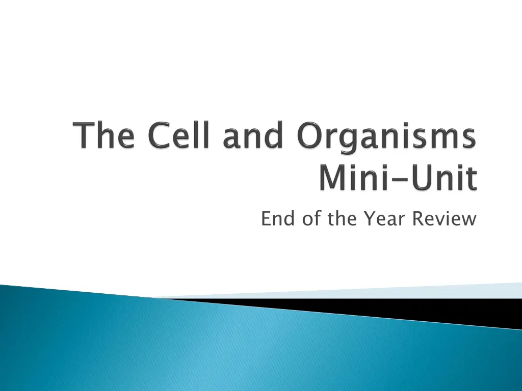 end of the year review