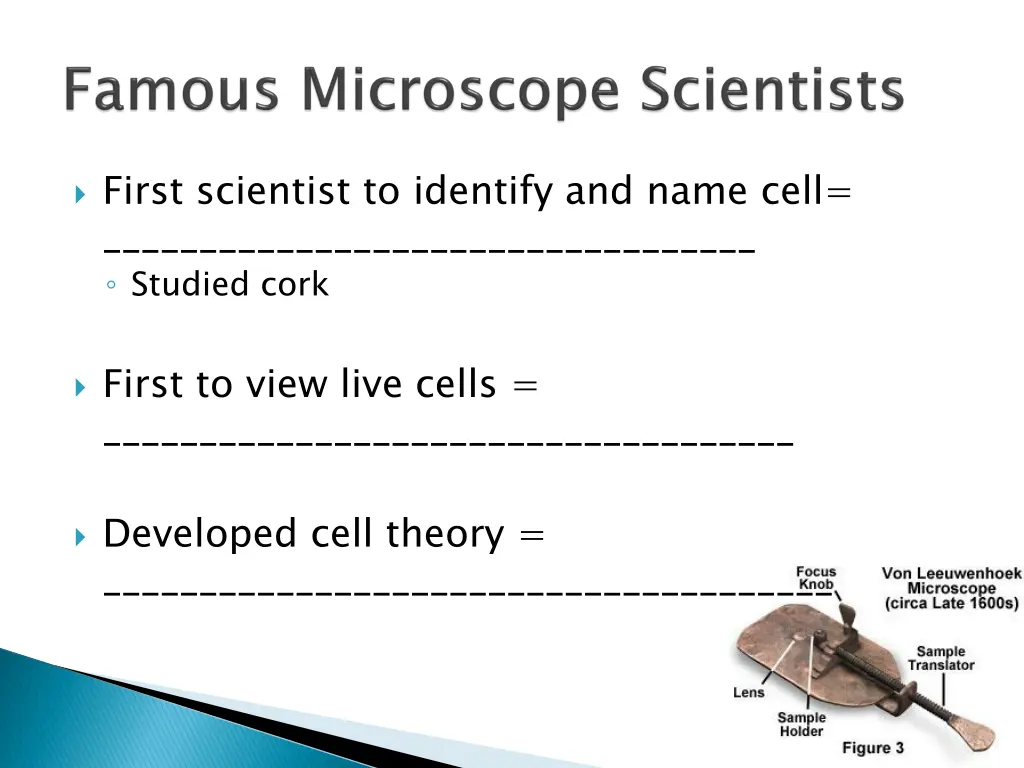 first scientist to identify and name cell studied
