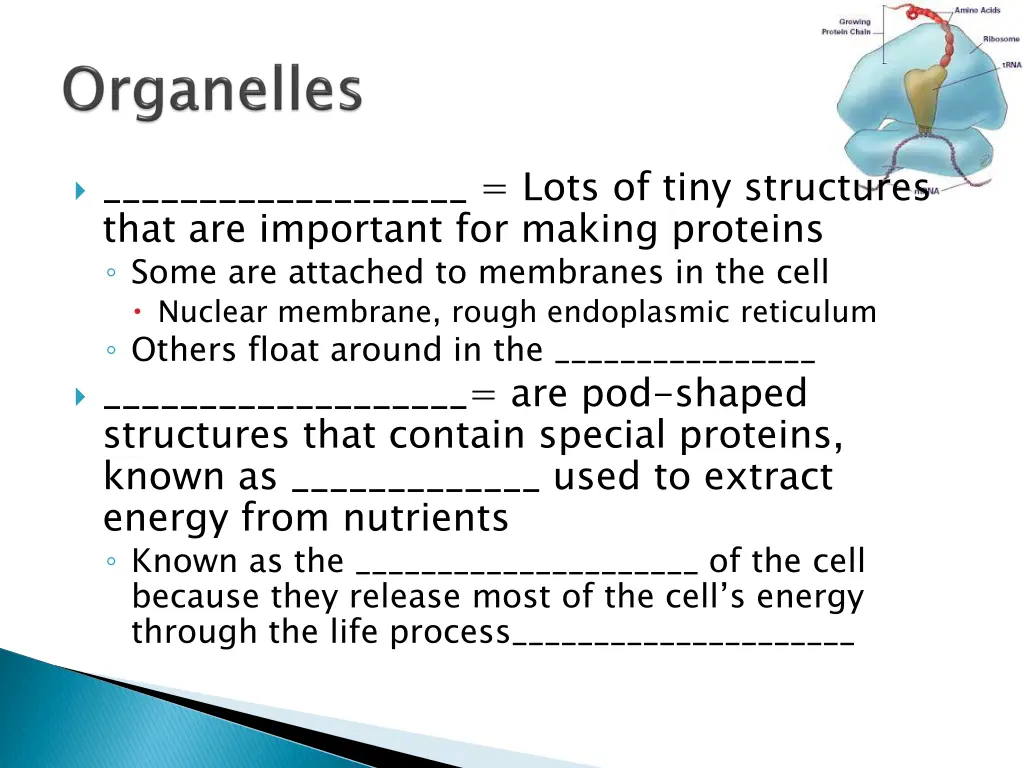 lots of tiny structures that are important