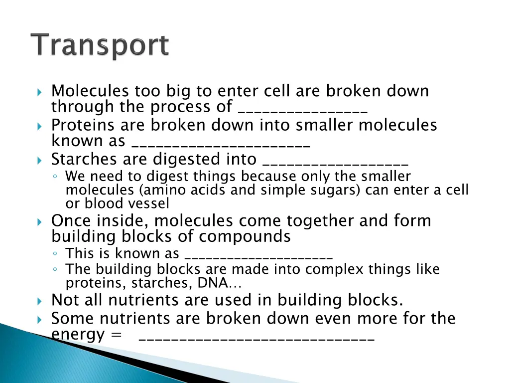 molecules too big to enter cell are broken down