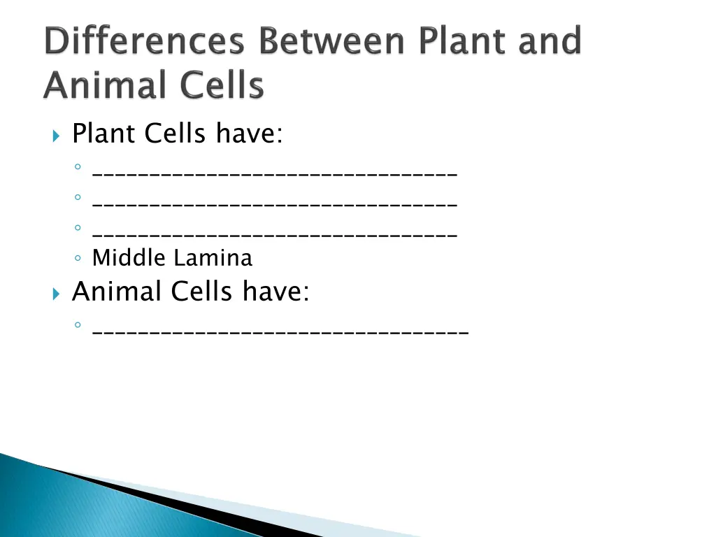 plant cells have middle lamina animal cells have
