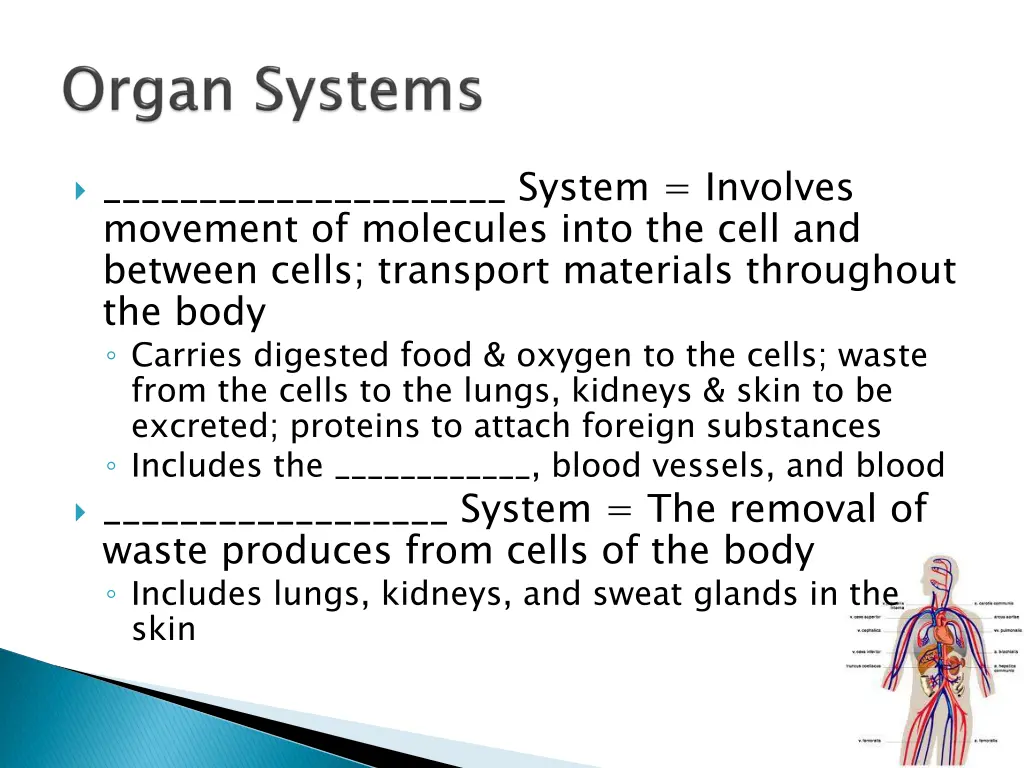 system involves movement of molecules into