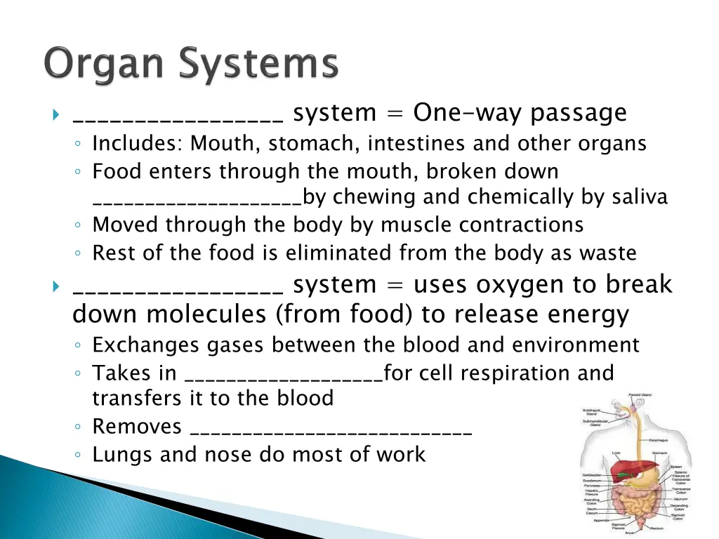 system one way passage includes mouth stomach