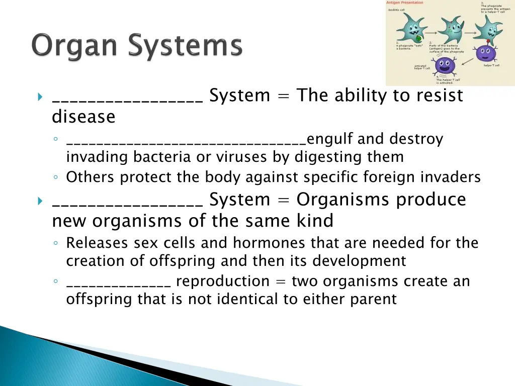 system the ability to resist disease engulf