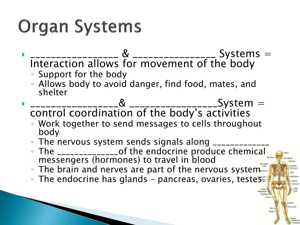 systems interaction allows for movement