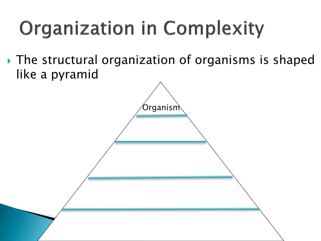 the structural organization of organisms