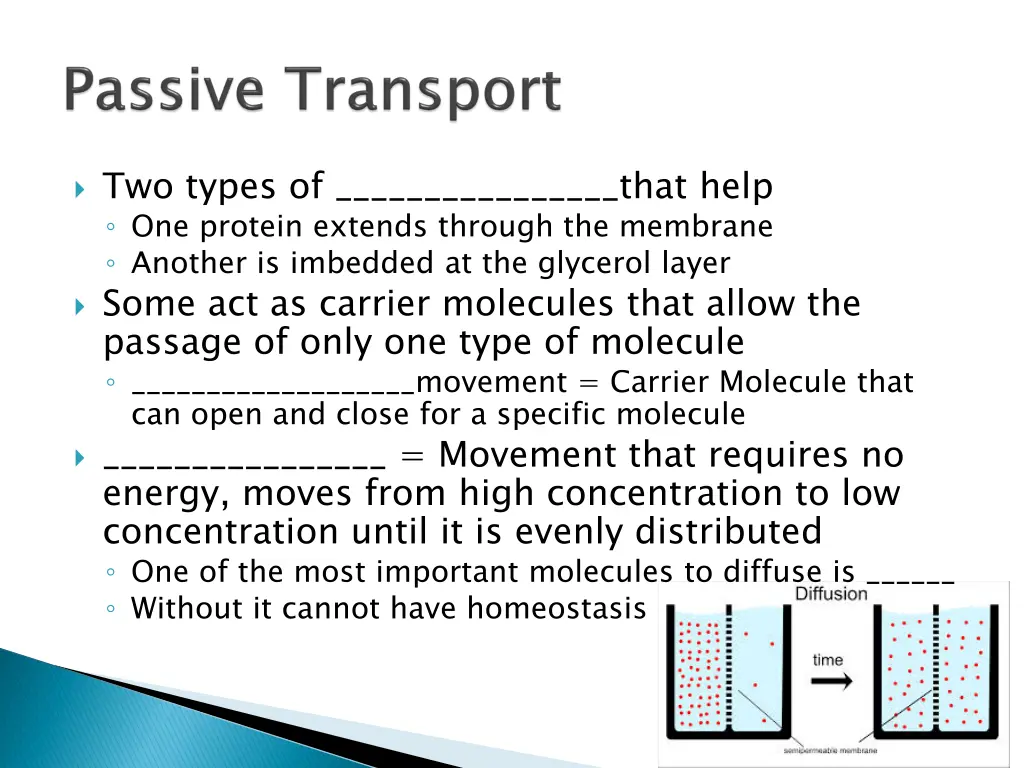 two types of that help one protein extends