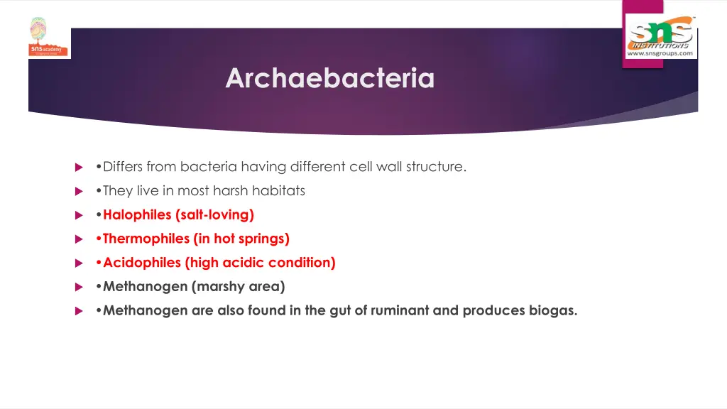 archaebacteria
