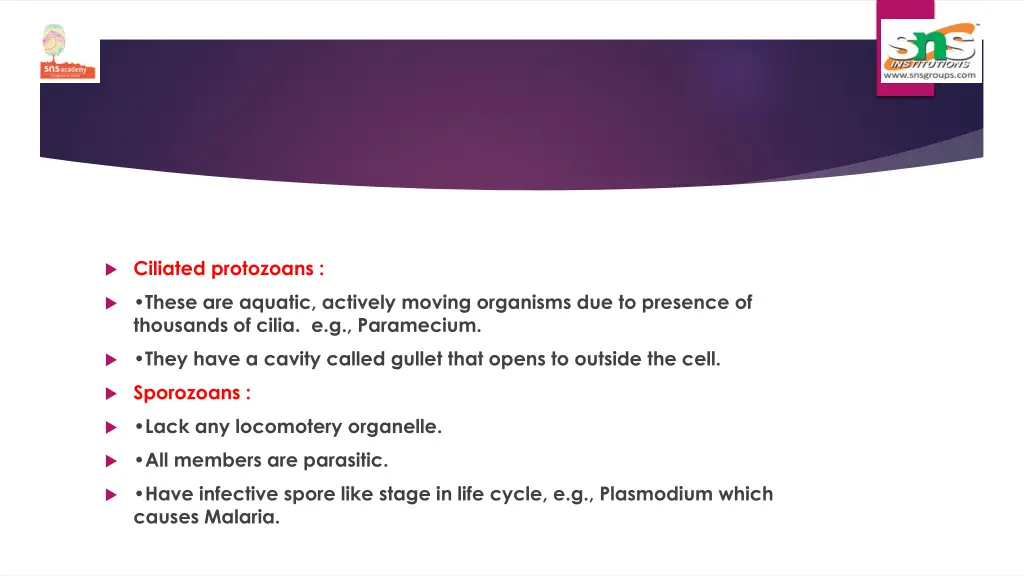 ciliated protozoans