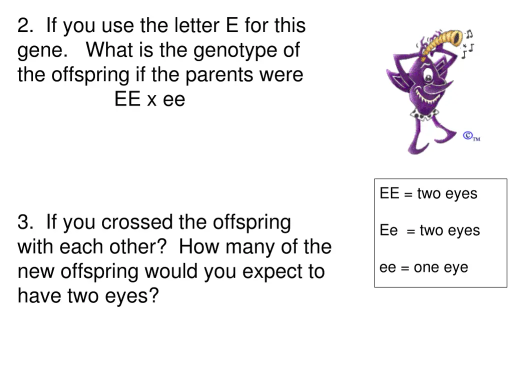 2 if you use the letter e for this gene what