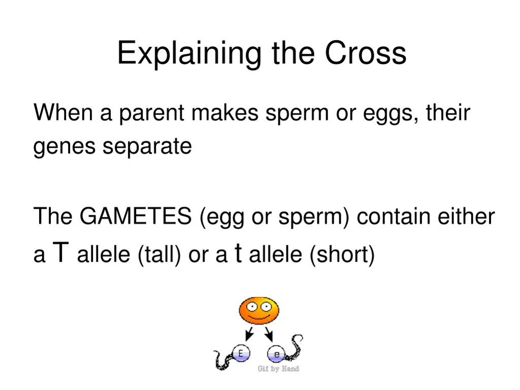 explaining the cross