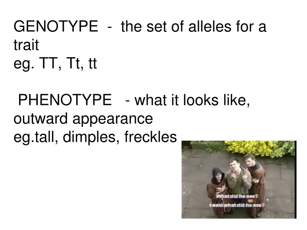 genotype the set of alleles for a trait