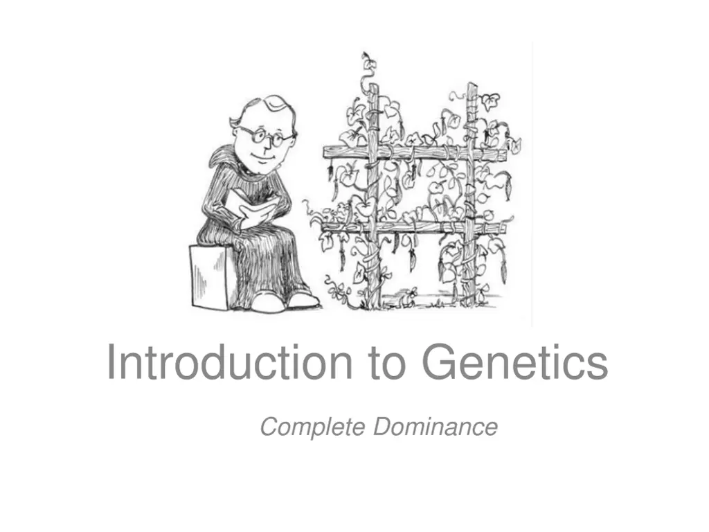 introduction to genetics
