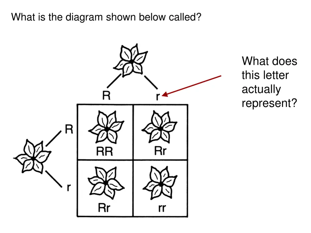 what is the diagram shown below called