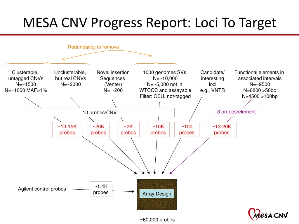 mesa cnv progress report loci to target