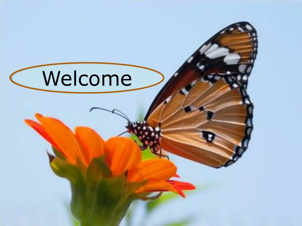welcome