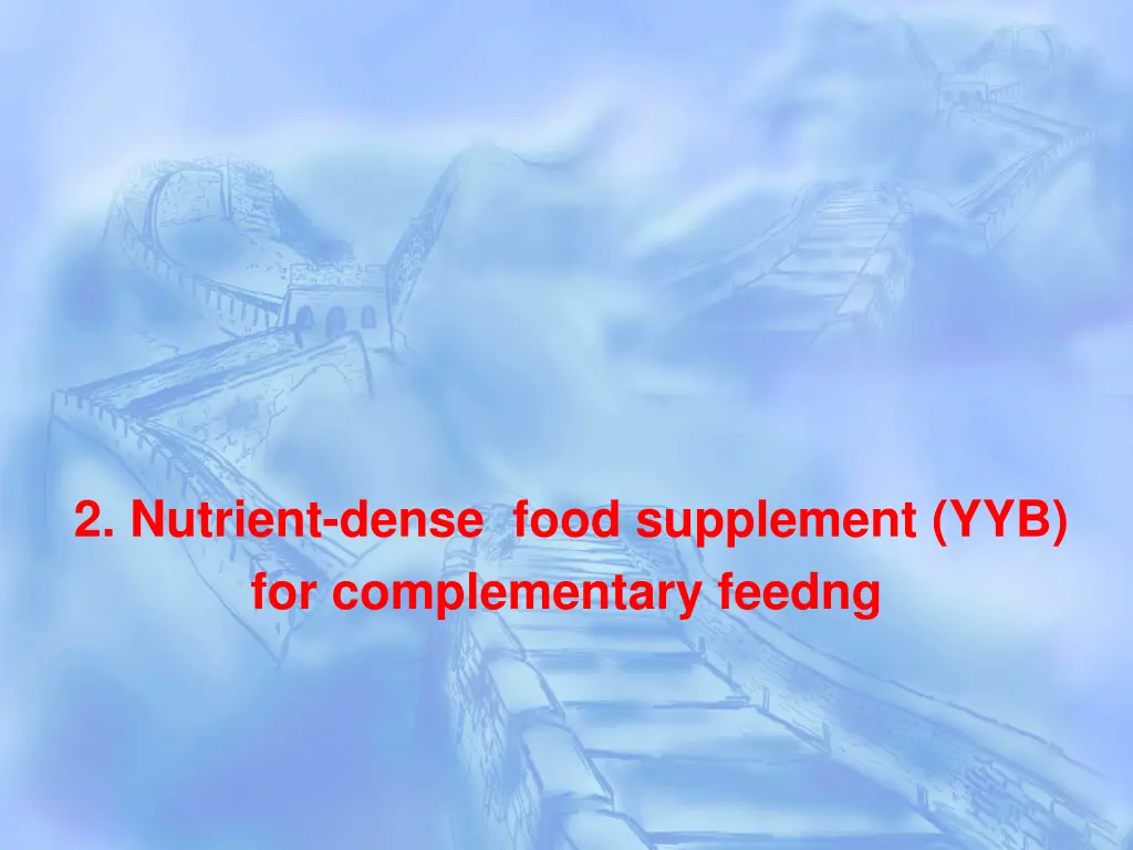 2 nutrient dense food supplement
