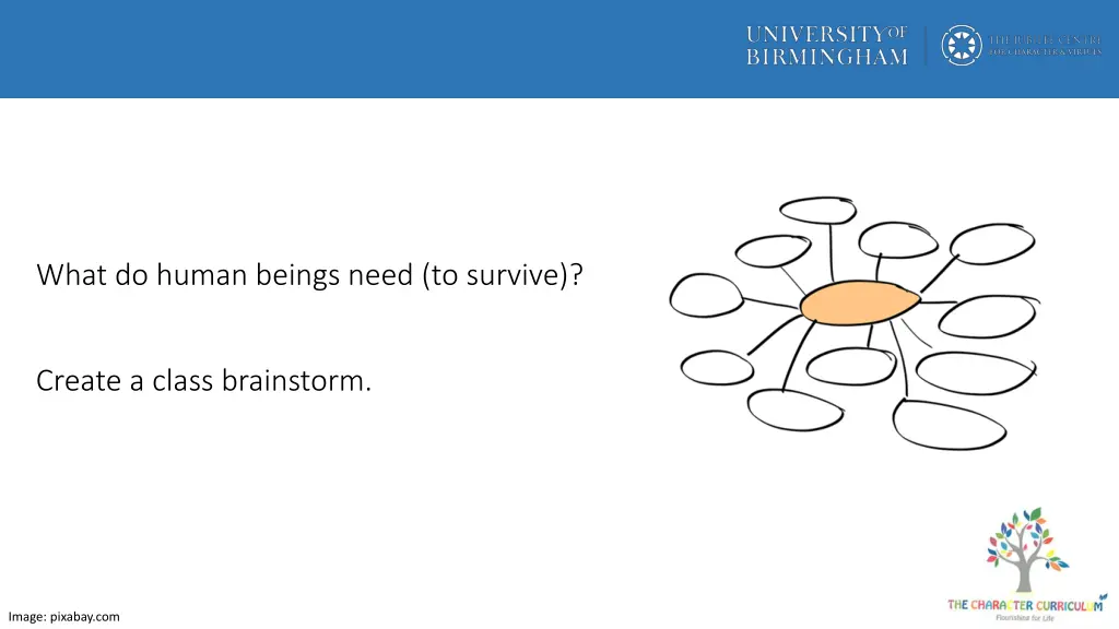 what do human beings need to survive