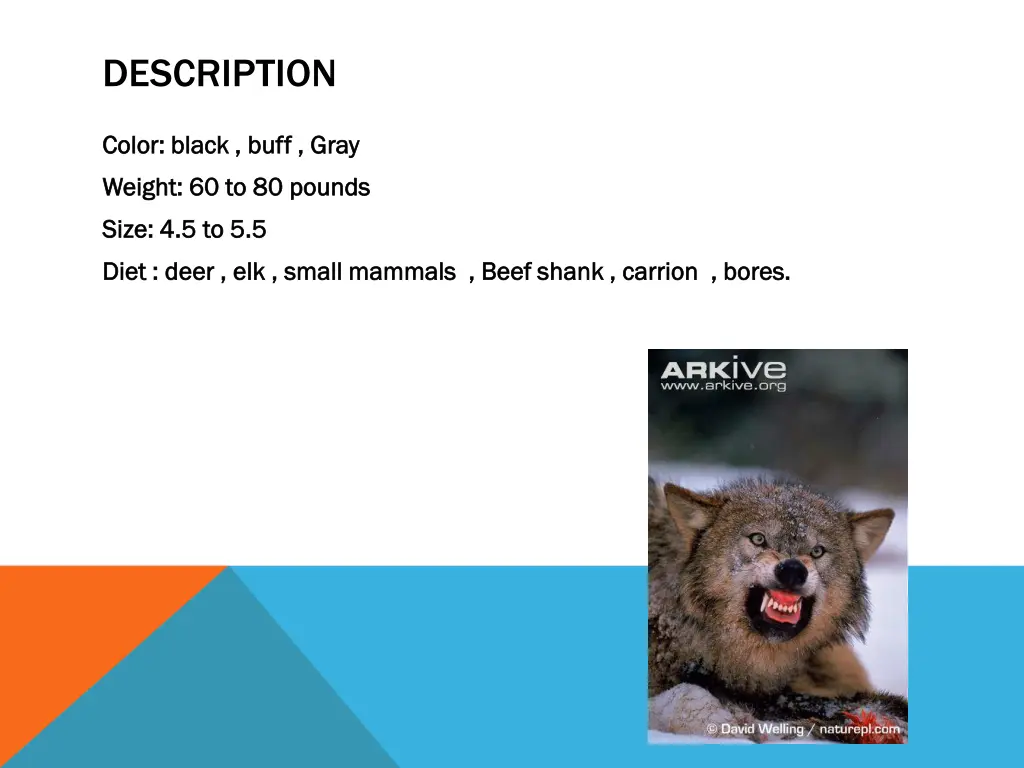 description